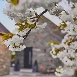Вилла Carraig *