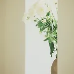 Вилла Carraig *